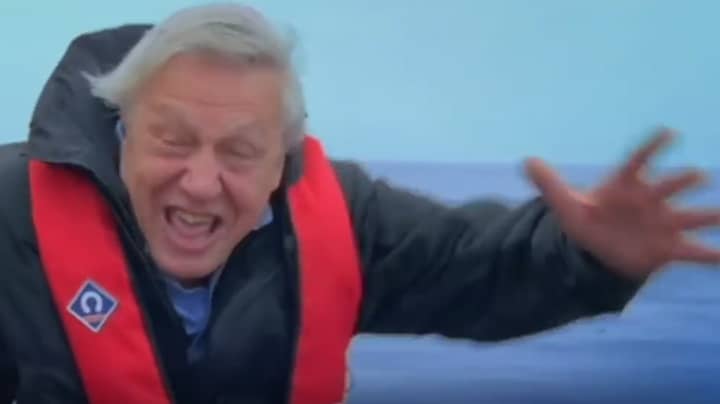 David Attenborough's Astonishing 95 Years Recapped In 95 Seconds