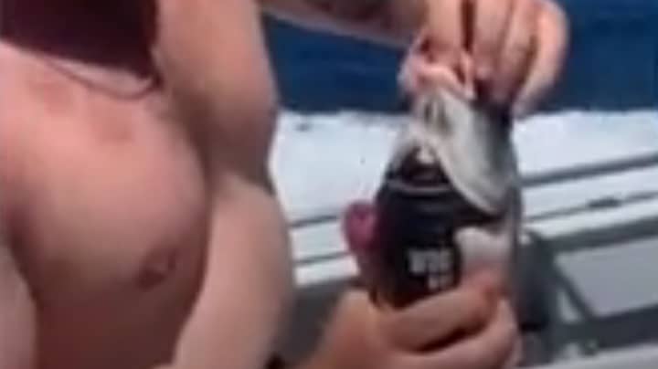 ​Man Drinks Can Of Whiskey Through Fish’s Lips In Viral TikTok Video