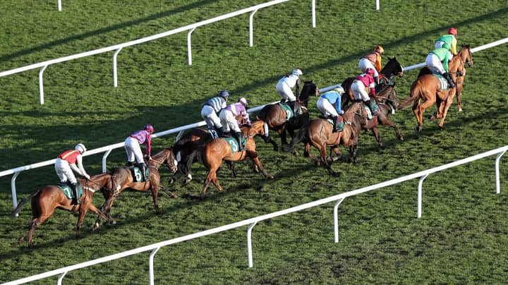 Two Horses Die After Falls On Day One At Cheltenham Festival
