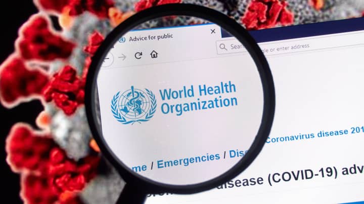 World Health Organisation Warns Countries About Opening Up Too Soon