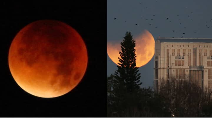 Spectacular Blood Red Moon Is Coming Next Month 'To Signal End Of The World'