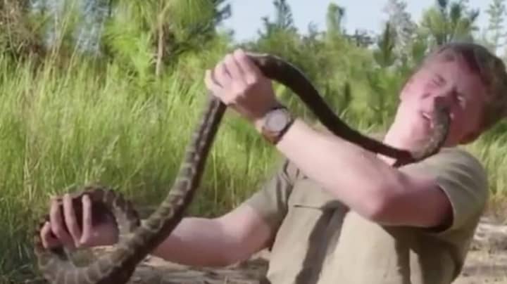 Robert Irwin Shares Footage Of Himself Being Attacked By Snake 