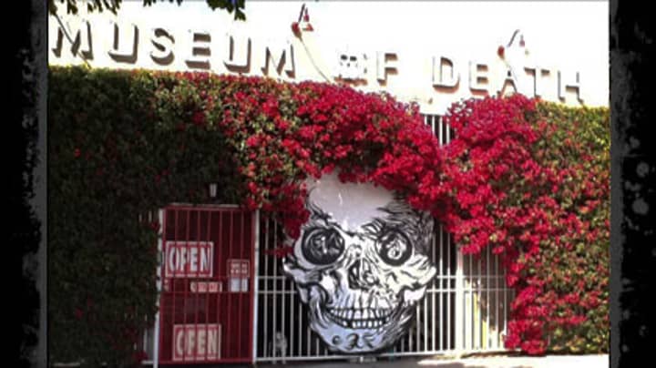 Museum Of Death Staff Have A Tally Of People Who Vomit Or Pass Out