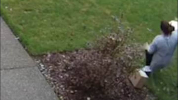 Package Thief Gets Instant Karma As She Slips And Breaks Her Leg