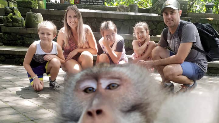 Cheeky Monkey Photobombs Family Holiday Snap And Gives Them The Middle Finger