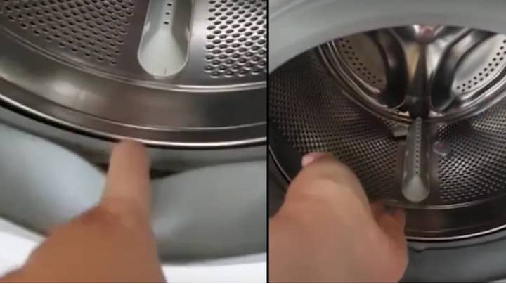 Woman Demonstrates How Dirty Your Washing Machine Could Be