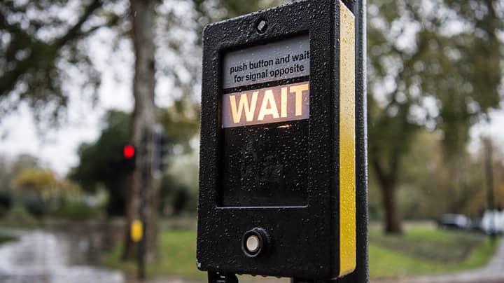 Anti-Vaxxers Tried To 'Gridlock' London By Pressing All Pedestrian Crossing Buttons