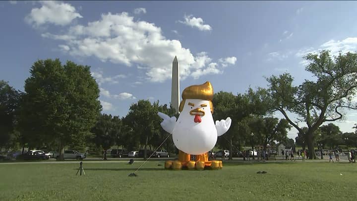 Giant Inflatable Chicken With 'Trump Hair' Appears At The White House