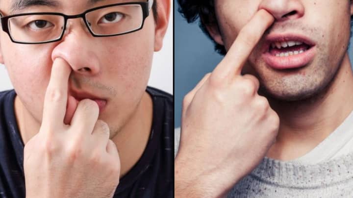 Scientists Warn That You Shouldn't Eat Your Bogies
