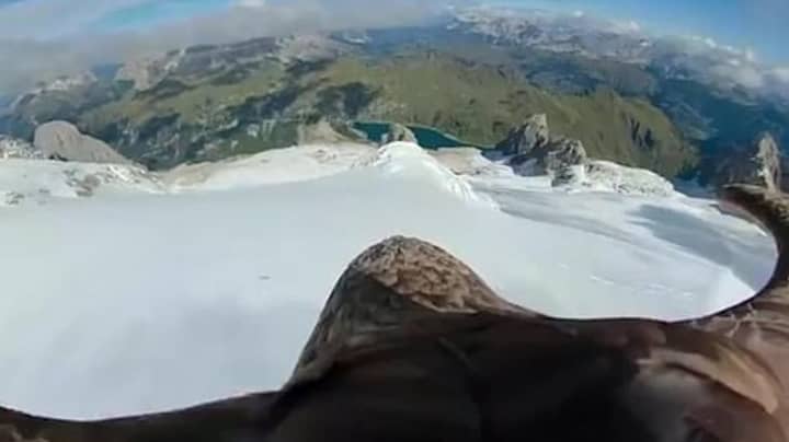 Eagle Flight Footage Highlights Impact Of Climate Change In The Alps