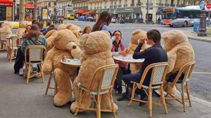 Cafe In Paris Is Using Giant Teddy Bears To Socially Distance Customers