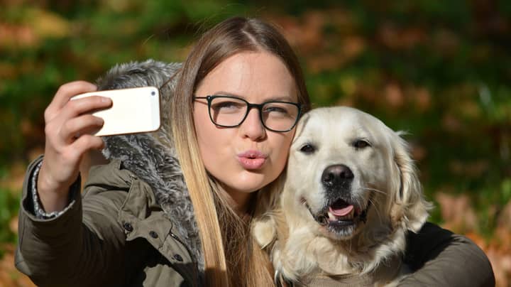 Trees Unlikely To Be Planted Following Viral Instagram Pet Photo Trend
