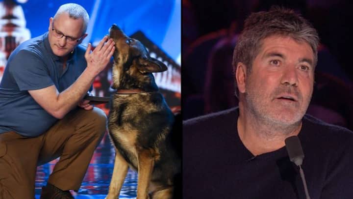 ​Hero Police Dog Who Was Stabbed Leaves Everyone In Tears On Britain’s Got Talent