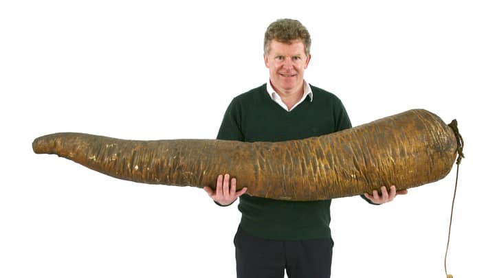 Mystery Buyer Splashes Out Thousands On Sperm Whale Penis At Auction