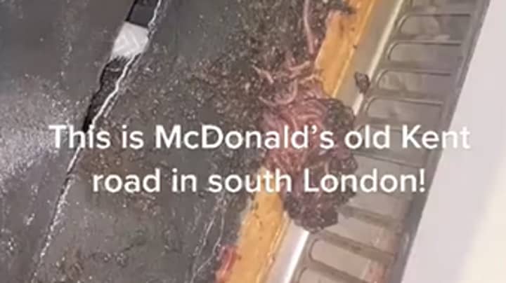 Viral Video Shows Piles Of Worms In McDonald's Drinks Machine