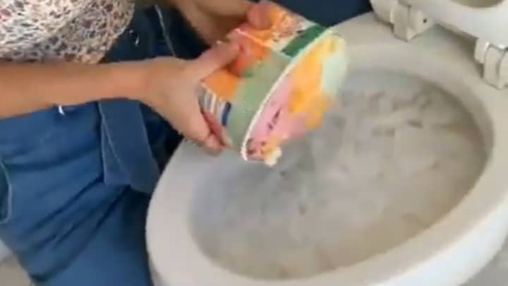 Woman Shares Bizarre 'Hack' To Make Ice Cream In The Toilet