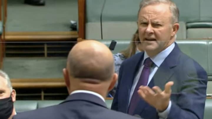 Anthony Albanese Tells Peter Dutton To ‘Sit Down Boofhead’ During Spicy Question Time