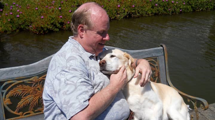 The 9/11 Dog That Led Blind Owner And 30 Other People To Safety