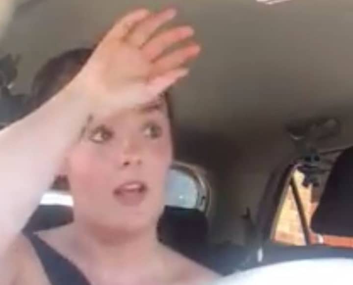 Woman Traps Herself In A Roasting Hot Car To Raise Awareness Of How Dogs Suffer
