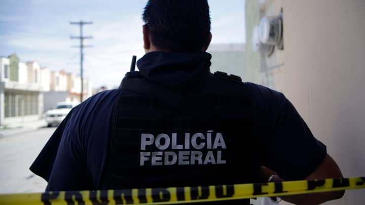 Cartel Expert Warns 'Don't Go To Mexico Right Now'