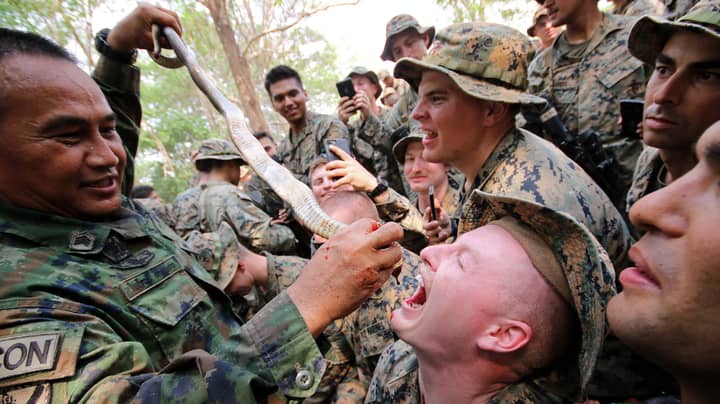 Military Training Drills Where Soldiers Eat Live Animals And Drink Snake Blood Could Spark New Pandemic, Says PETA