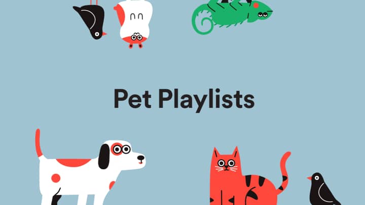 Spotify Has Revealed New Playlist For Pets Feature