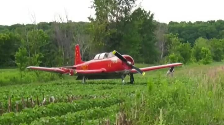 Woman Killed By Landing Plane As She Mowed Grass 