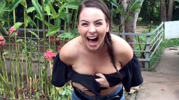 Cheeky Monkey Grabs Backpacker's Top In Thailand