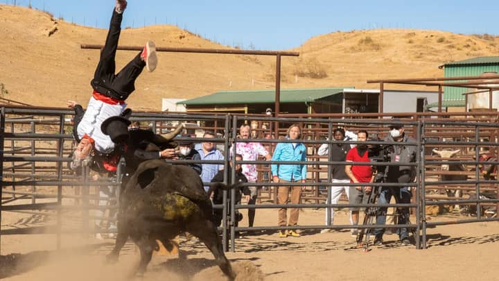 The Jackass Forever Trailer Has Landed