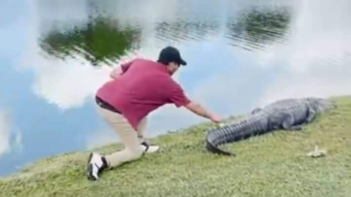 Golfer Creeps Up Behind Alligator To Retrieve Ball 