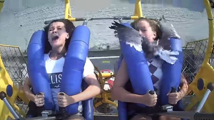 Teen Slapped In Face By Seagull On 75MPH Sling Shot Ride 