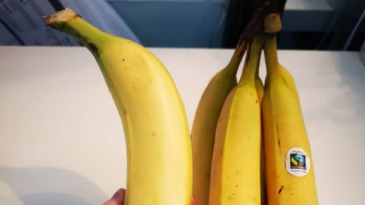 Fruit Lover Shocked To Discover Banana The Size Of Her Arm