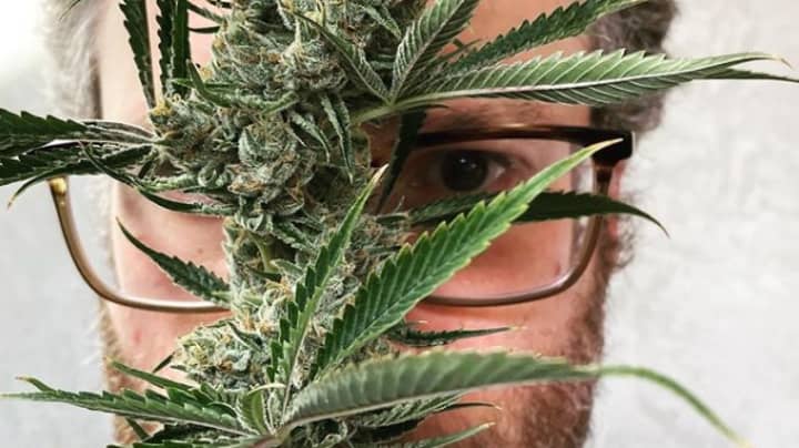 Seth Rogen’s Weed Company’s Website Crashes Due To High Demand  