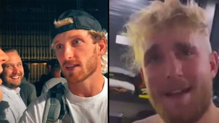 Jake Paul Mocks Guy Who Approached His Brother Logan For Job And Got Rejected
