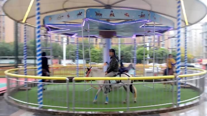 Carousel In China Slammed For Using Real Horses 