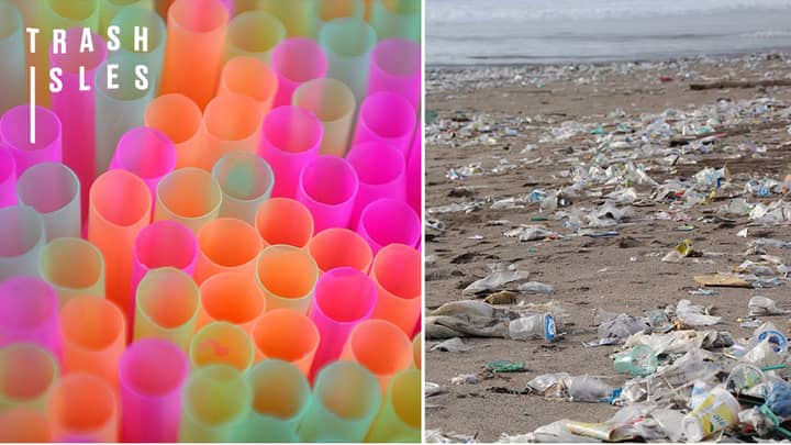 Cornwall Proposes Ban On Plastic Straws In Bars To Cut Ocean Pollution