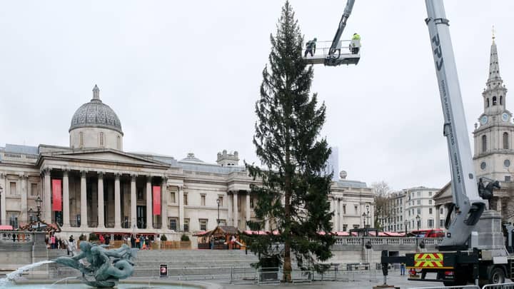 Norway Accused Of 'Disrespecting' UK With Trafalgar Square Christmas Tree