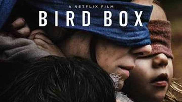 'Bird Box' Breaks Netflix Records With Over 45 Million Views