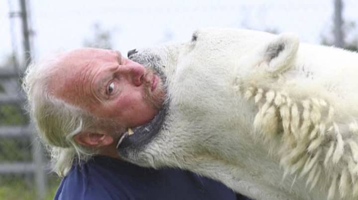​The Only Man In The World Who Can Swim With A Polar Bear 