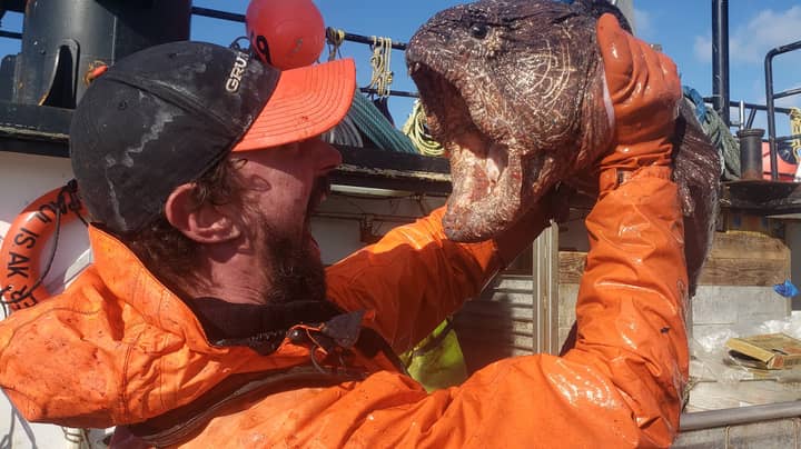 Fisherman's Bizarre Catch Dubbed 'Real-Life Sea Monster' By Social Media Users