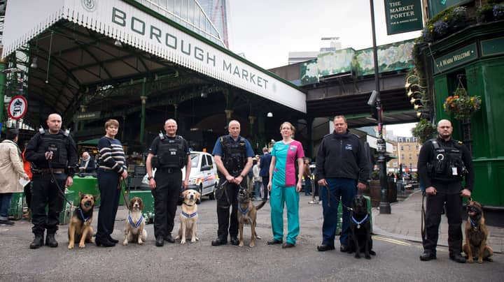 Police Dogs To Be Honoured For London Terror Attack Heroics 
