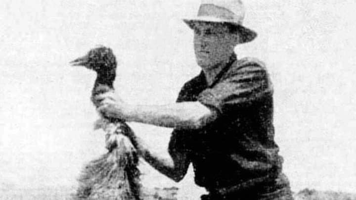 Today Marks 87 Years Since Australians Were Defeated In The Great Emu War