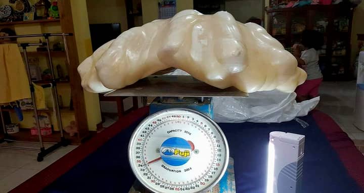 Giant Pearl Worth £76million Kept Under Fisherman's Bed As 'Good Luck Charm'
