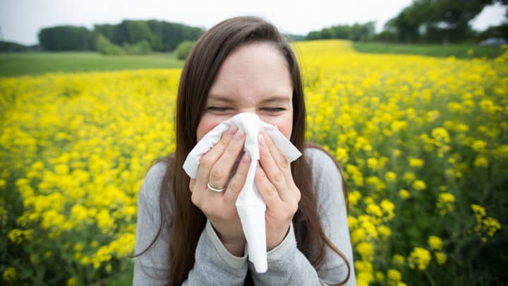 ​UK Hit By A Pollen Bomb This Bank Holiday