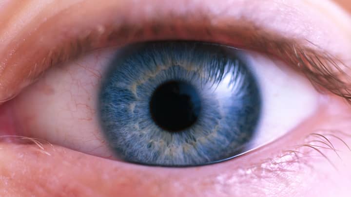 People Are Learning What The Mysterious Holes In Our Eyelids Do