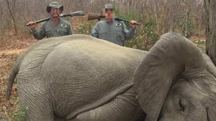 Hunters Slammed After Posing Next To Photo Of Slain Elephant 