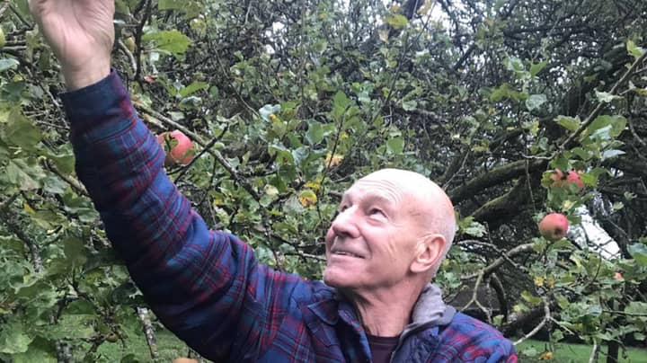 Sir Patrick Stewart Takes The P**s Out Of Instagrammers In Twitter Post