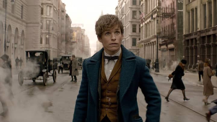 Harry Potter And Newt Scamander Crossed Paths At Hogwarts And Here's The Proof