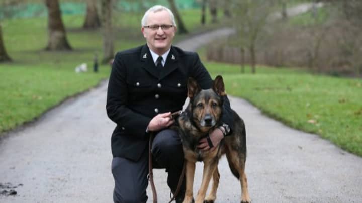 Police Dogs And Horses Will Be Protected By Law Thanks To BGT's Finn