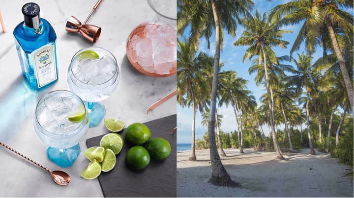You Can Get Paid To Travel The World While Drinking Gin
